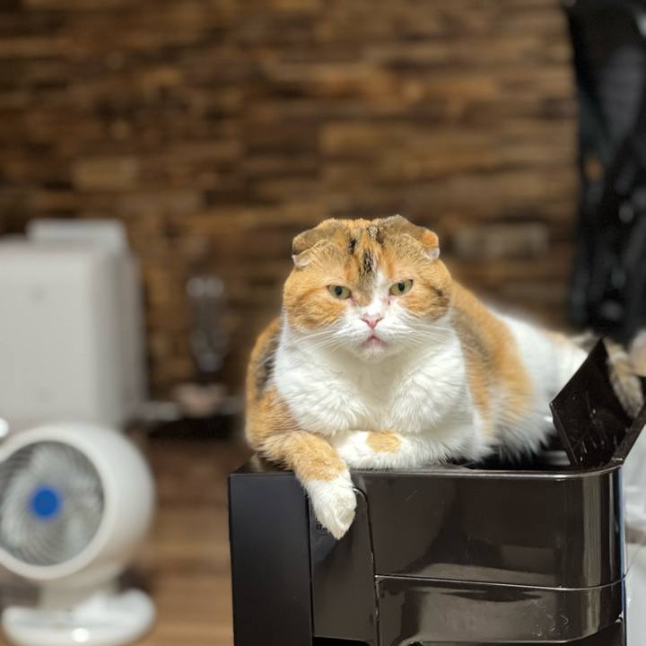 B2eb3a1c f289 4160 9ea9 2426d84ac5d1 1692968265888