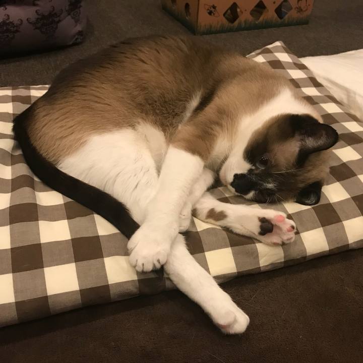 B2eb524d ed1b 49ba 8957 8798de8cda7f 1523391502063