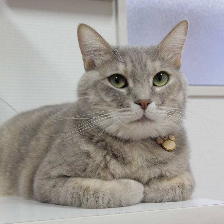 B2eb6244 a0e9 4b1c 8e45 cf3c12679df1 1580465578393