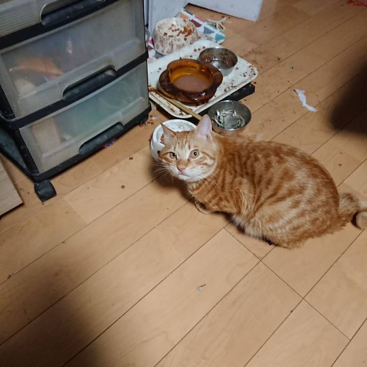 B2eb8f2b acc9 40b2 b375 2b9b7e289f53 1644268041969