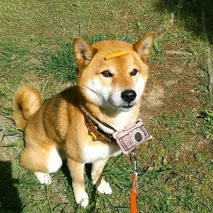 B2eb9d31 8153 4f32 85d0 178e905e8b77 1557364321485