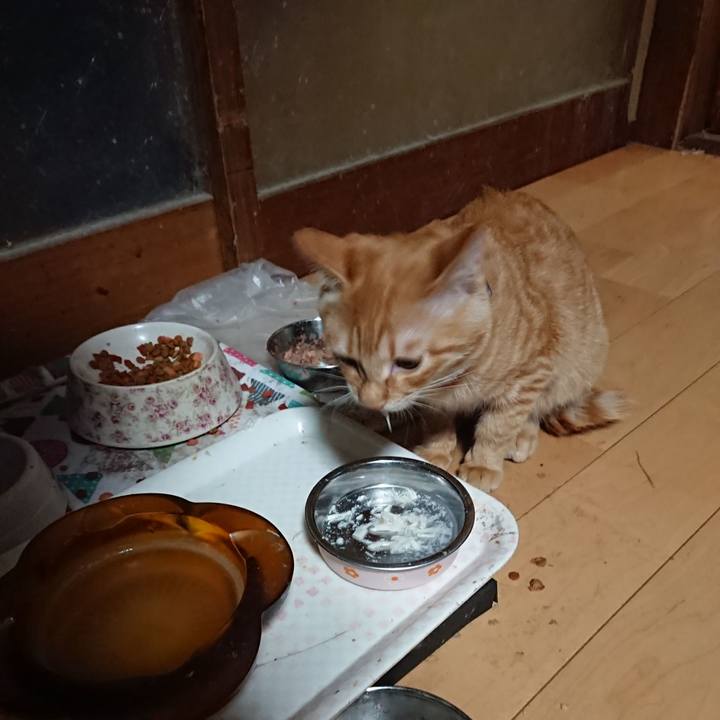 B2eba8e6 7b7b 4097 a506 40a59b725de9 1635850701837