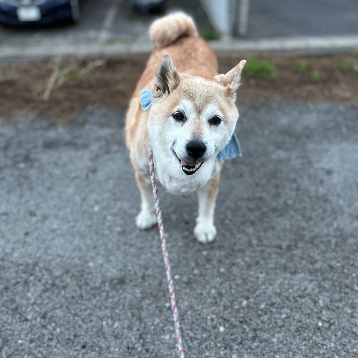 B2ebd3c1 c2f9 4e26 8d76 15900a5b6b79 1751017838616