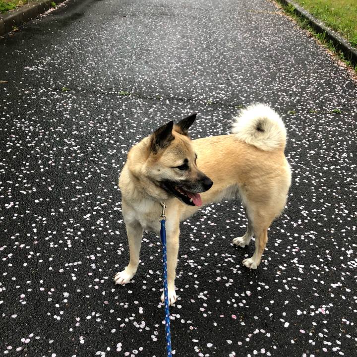 B2ebe0bd 91e7 44db 9c5b 9b85f24c2a79 1617536908387