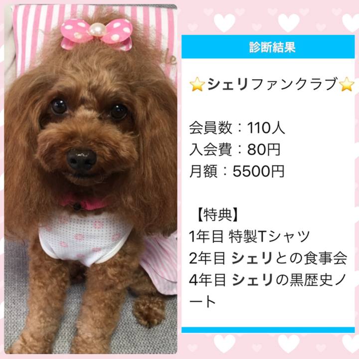 B2ec2d57 ddce 4d34 9d59 239cdce6a5e5 1568557520280