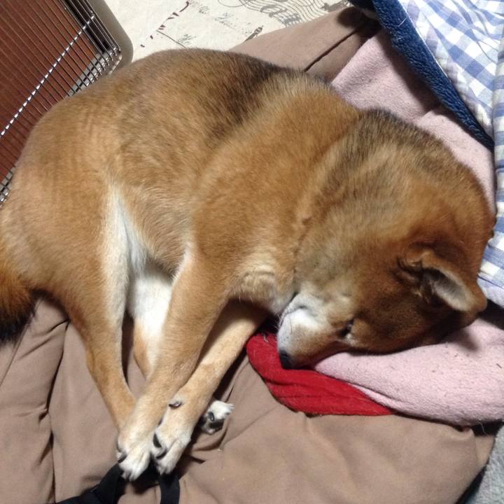 B2ec536f 0102 4049 a364 d633ace14209 1518096112735