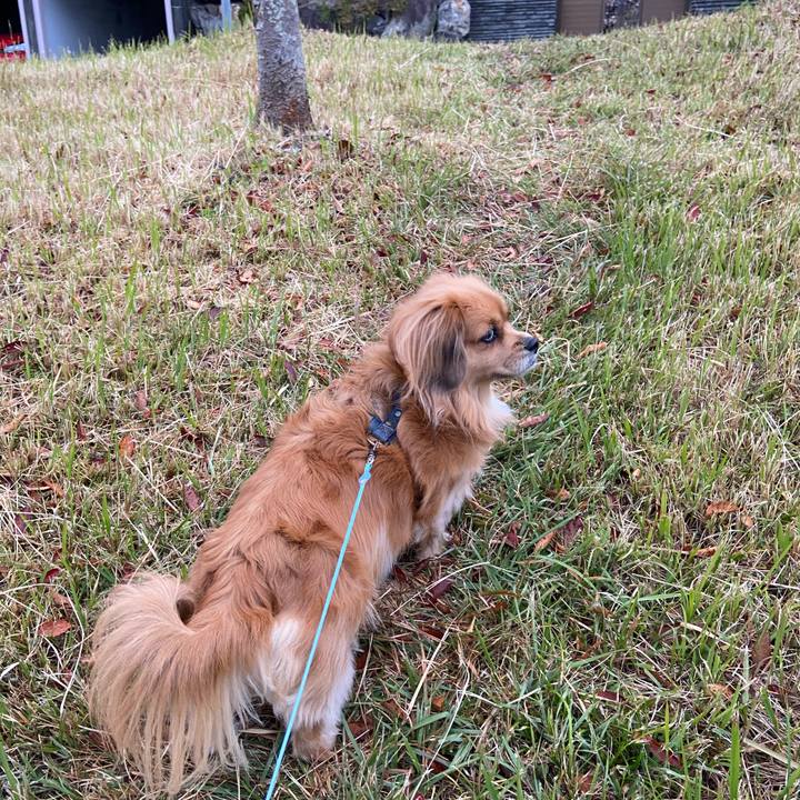 B2ec763c 9f37 4bfa a014 6abb536beda4 1604613717247