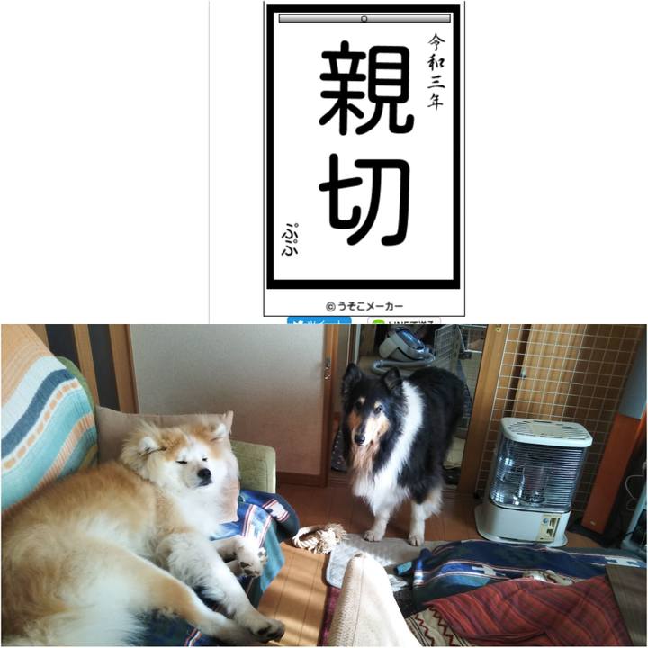 B2ec9ade 2b3b 4e54 8066 b601d7d7ecc0 1609685764000