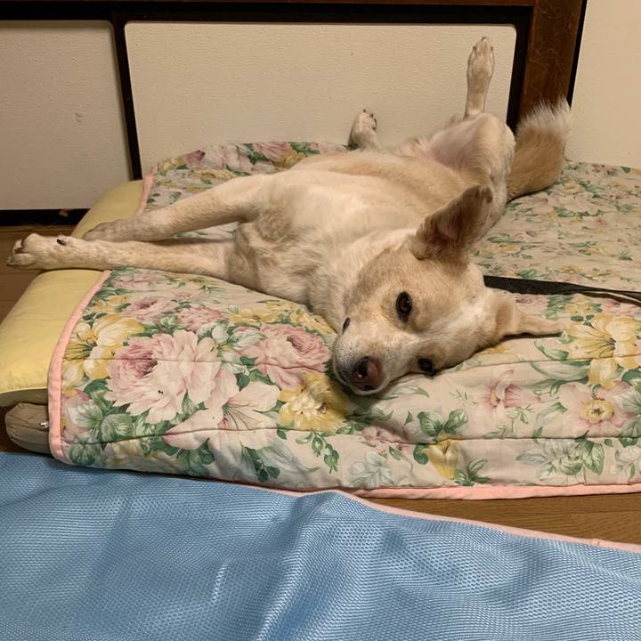 B2eca0a1 88f4 4183 885d 7e3afc9618aa 1564922787441