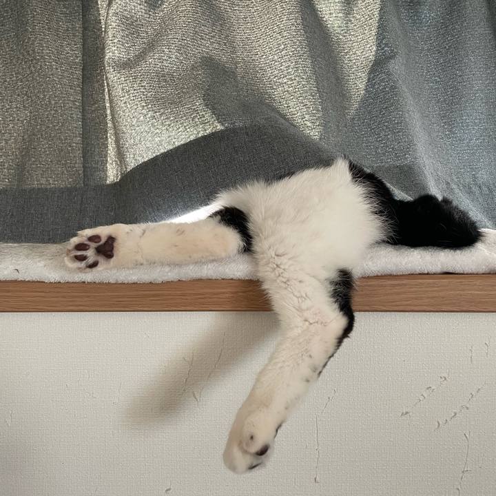 B2ecb91c 23fc 4b41 b59b 5a0bbb5c8c79 1745658598287