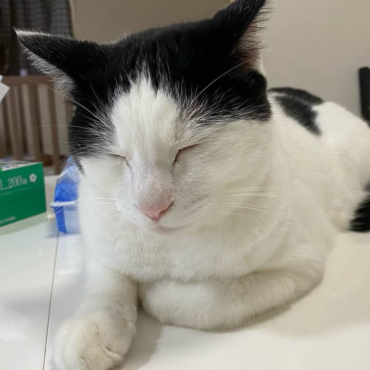 B2ecbdaa 535b 43f9 9a7d 5b52f685ef91 1628563624413