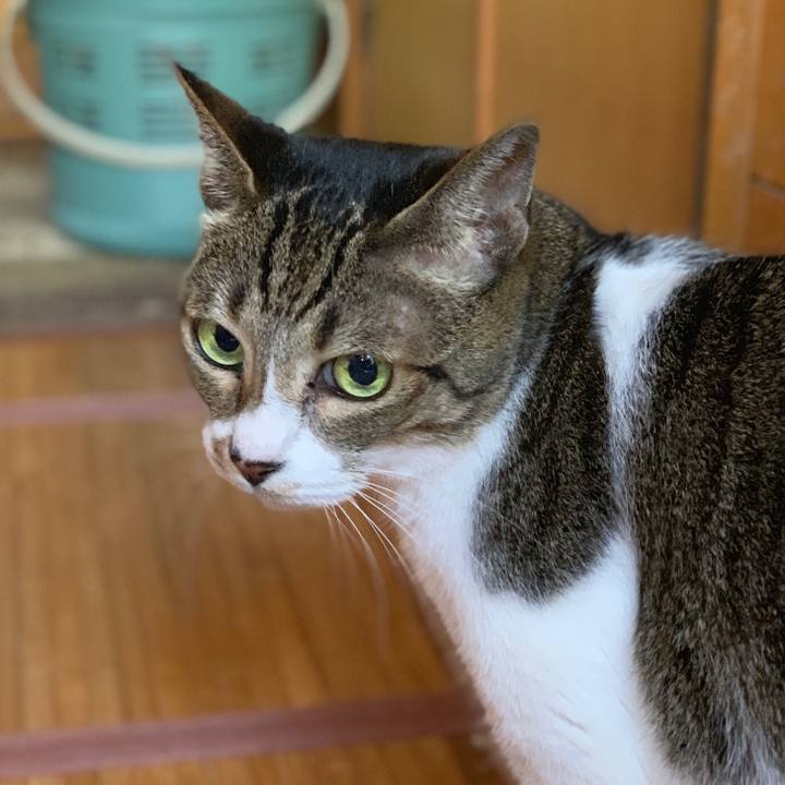 B2ecd789 7854 43af a1e4 92313d9a850d 1567640697765