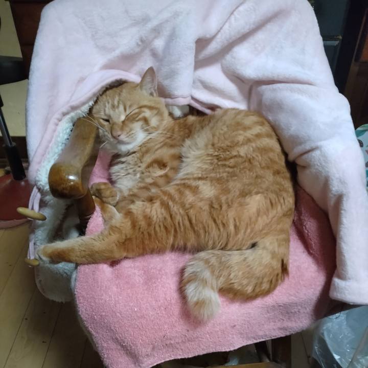 B2ecebfb 472a 497d 8726 48f439a83bb7 1669290169907