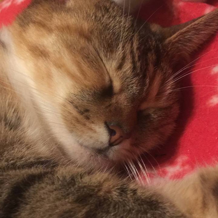 B2ececbf fc5e 4778 8258 14ce69fd447e 1574631606008