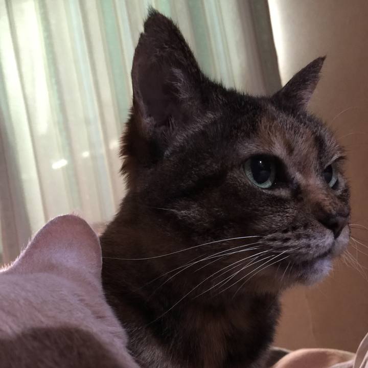 B2ed15a8 09f5 46a9 b918 8db6a1b5e580 1575361468456