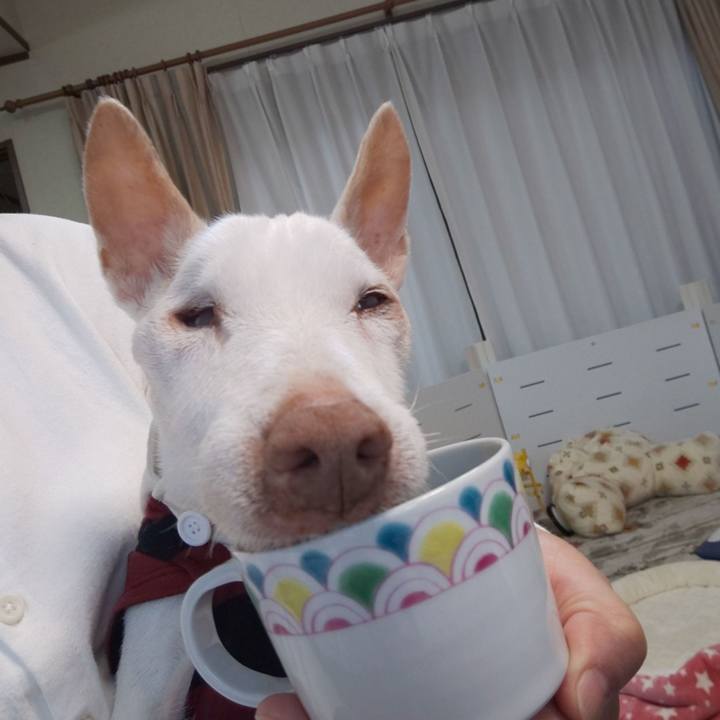 B2ed1c86 ce7f 414a 956c f6302427514e 1605741473006