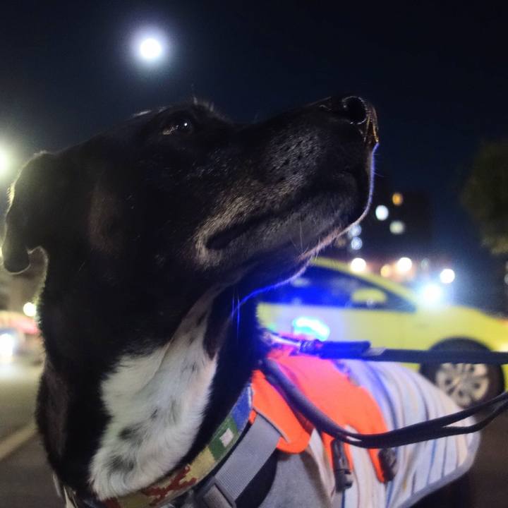 B2edac8f e72c 4985 9bca ea2b41330a7f 1706179778839