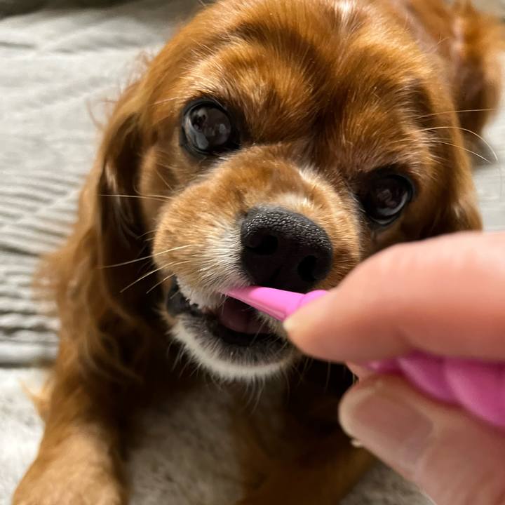 B2edb00a e191 42ec aebd 9798d31c56e6 1652968161087