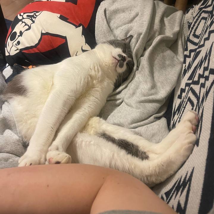 B2edb510 cf46 4b6e 9c22 f4745d98c217 1746789247715