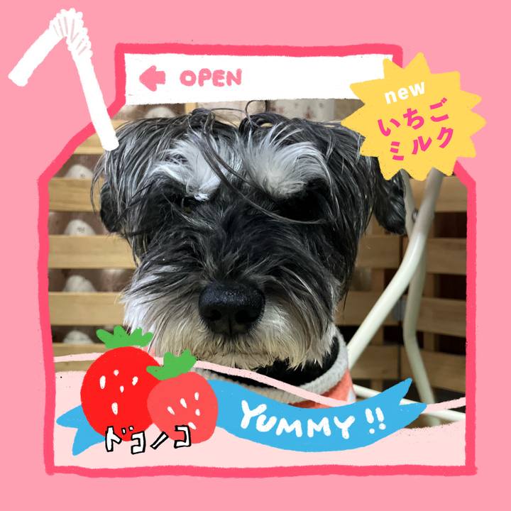 B2edd91b a5b7 40c8 98c3 39f7a9f04b32 1711153337317