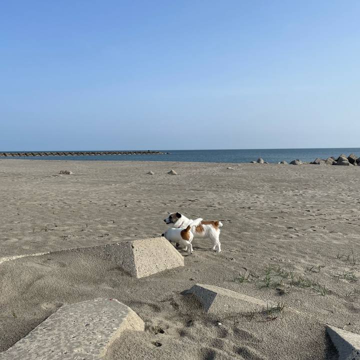 B2edfee8 2f78 40d1 96c7 c299355a0aae 1650844818152