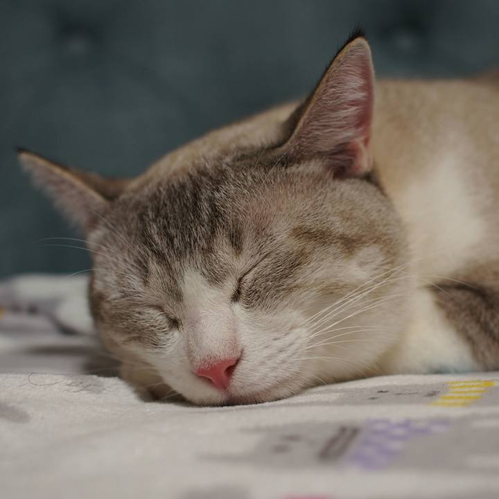 B2ee322b 7096 453a b8cb c7300fda182f 1537847139047