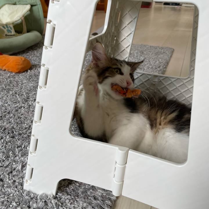 B2ee79eb 230d 4fe6 a02d 5a516b97e90d 1633825117972