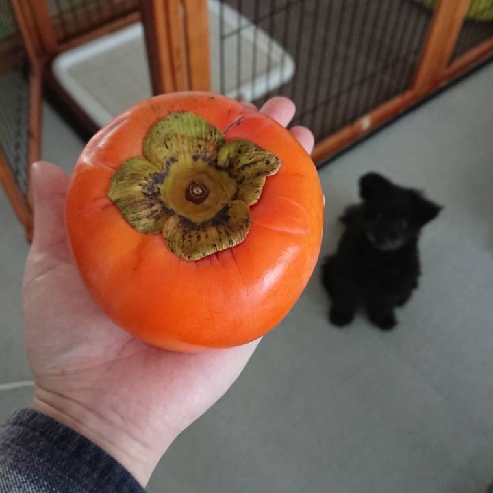 B2ee87d5 0bf2 42b7 99e6 60514aa68bbc 1512208616393