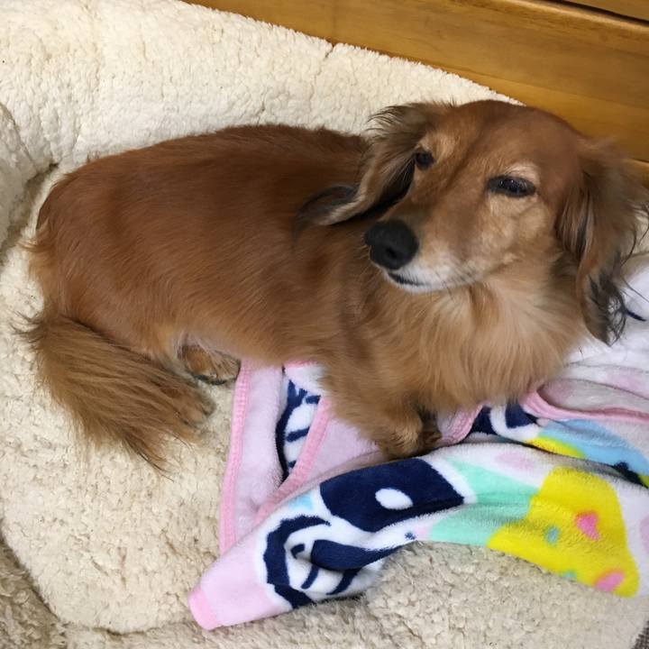 B2ee9974 3412 442e 8623 bee2efcd588f 1550500000802