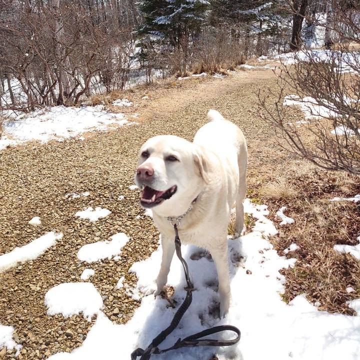 B2eecc11 1980 497e 9dc3 0285a7f50c36 1743762561704