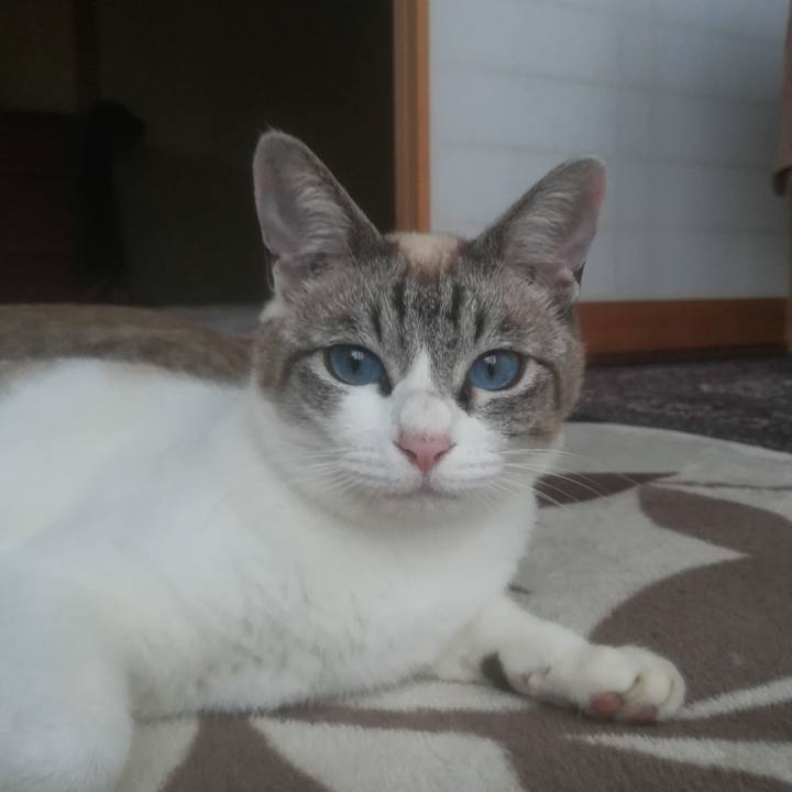 B2eef05c 7ee9 4840 b978 cef72c4103dd 1527586128361