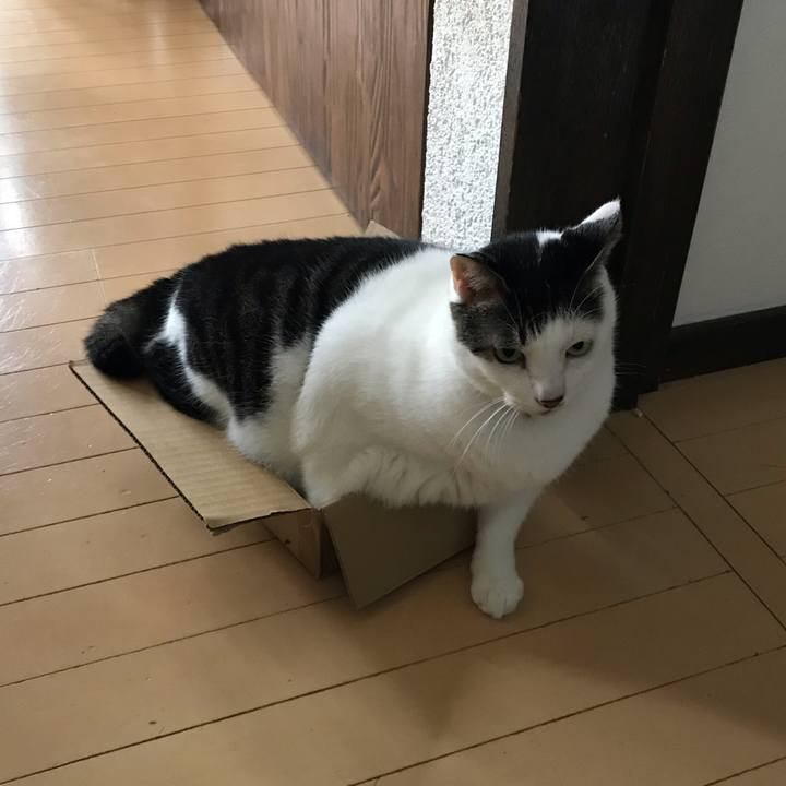 B2ef35c2 1185 4dbd 9156 10a4aab9ddbf 1539585944395