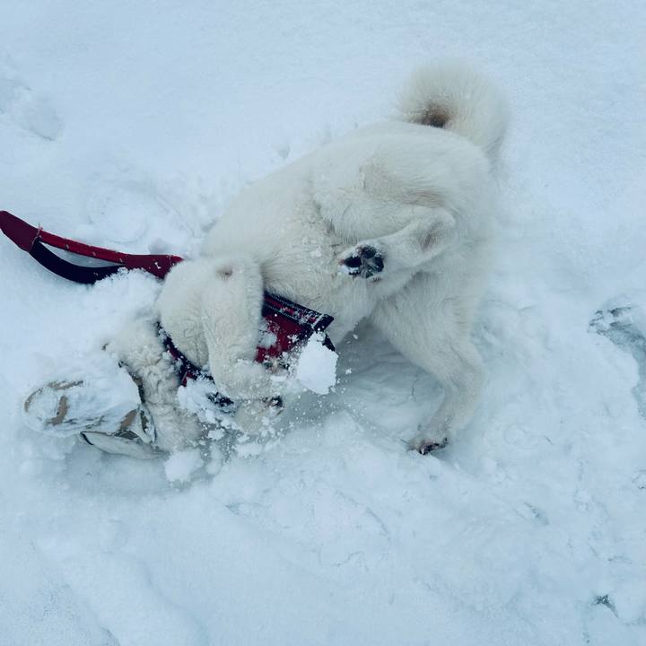 B2ef4035 1462 439b 886b ca9872292844 1710629689094