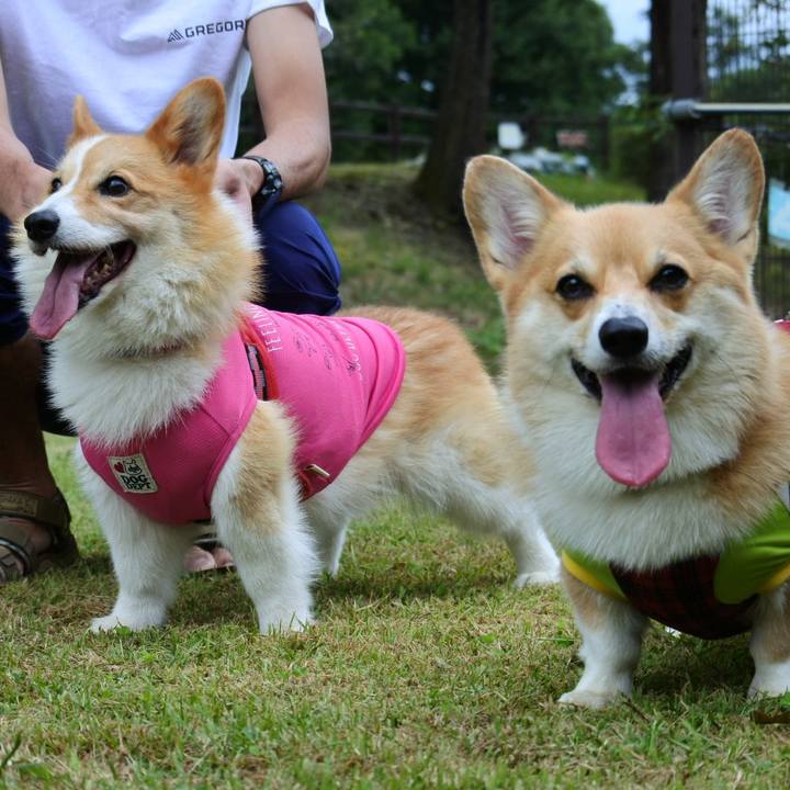 B2ef52aa ac34 4c54 917a 336fdbe18d54 1569146215558