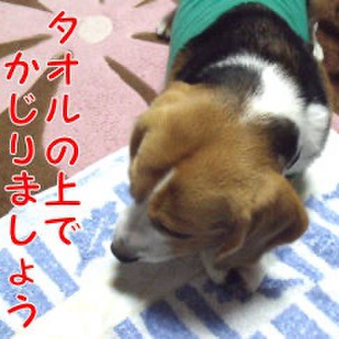 B2ef9697 4e82 4ca8 b00f cea43d7dfc38 1717194718713