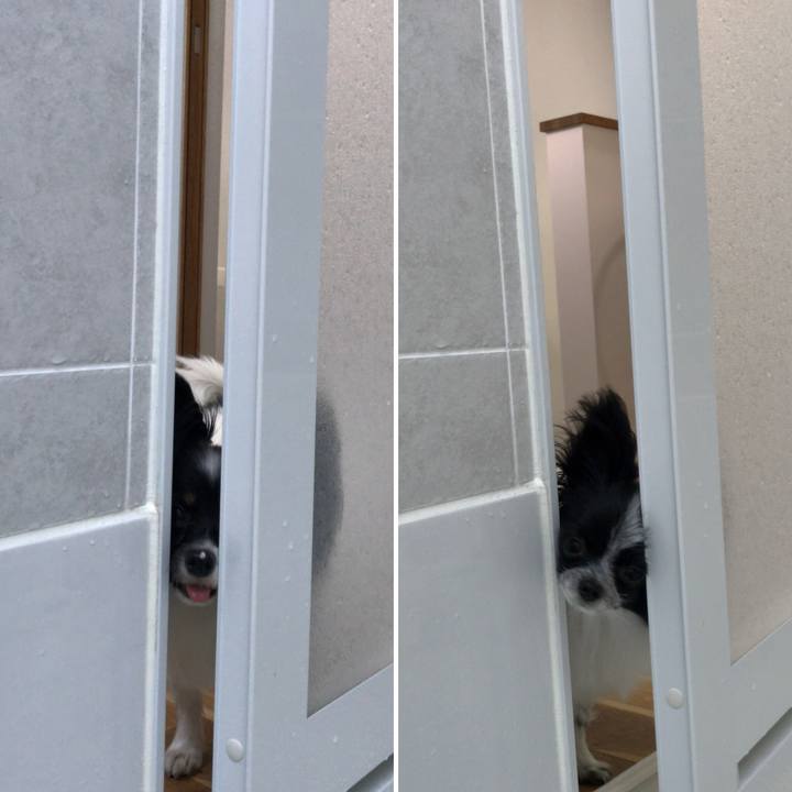 B2efaec1 0cef 46f8 b7f7 c3adfb8942d1 1510535801296