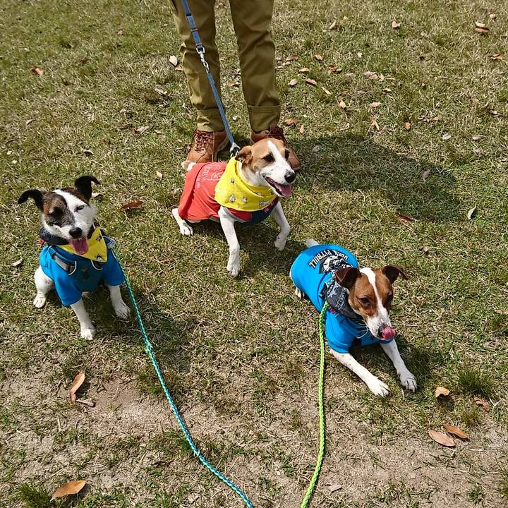 B2efbfd2 6b21 4b63 8907 01dd2e7ca08b 1555811636302