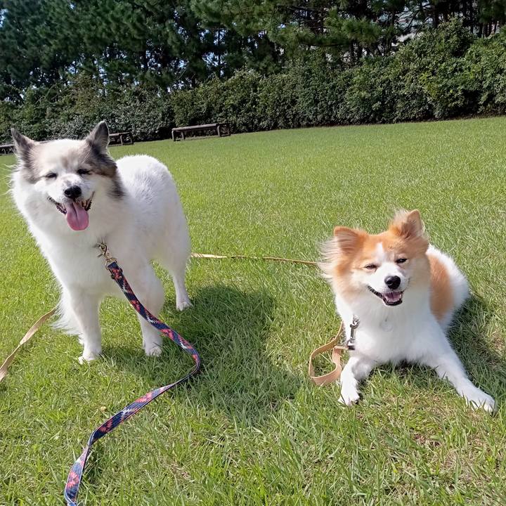 B2efca6a 8266 474f a5fd f3caa183400d 1637839795195