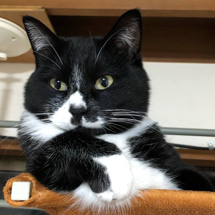 B2f00051 ac74 45b7 a0fe 8d302cb2ee2a 1643774001016