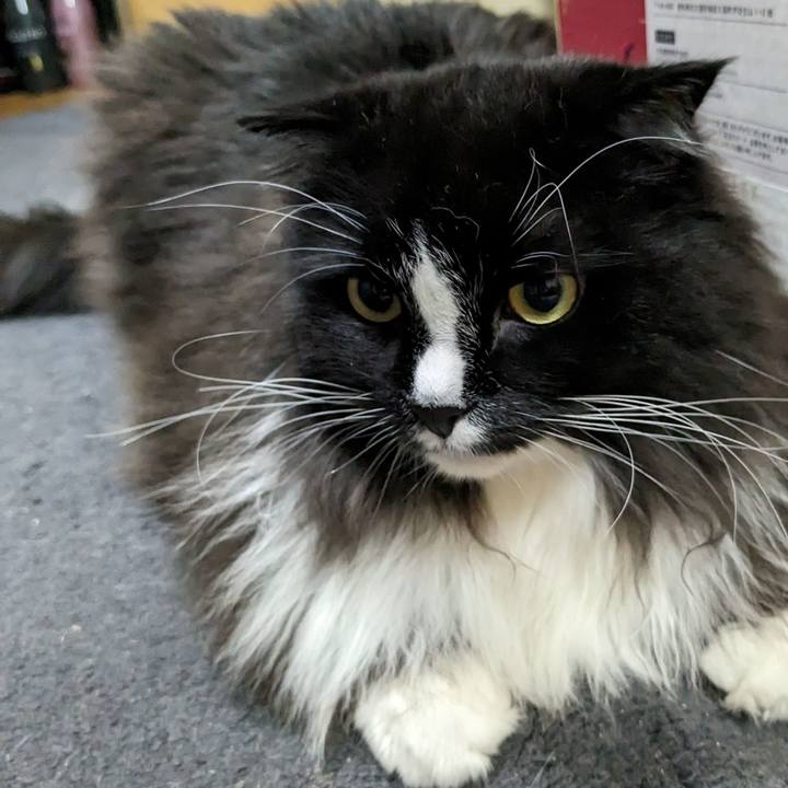 B2f001dc b6d5 429d 882c 6c850f0a9cd4 1689431439494