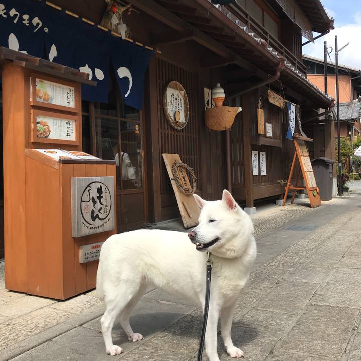 B2f00741 0e0d 4df6 9257 21df86227056 1523754028802