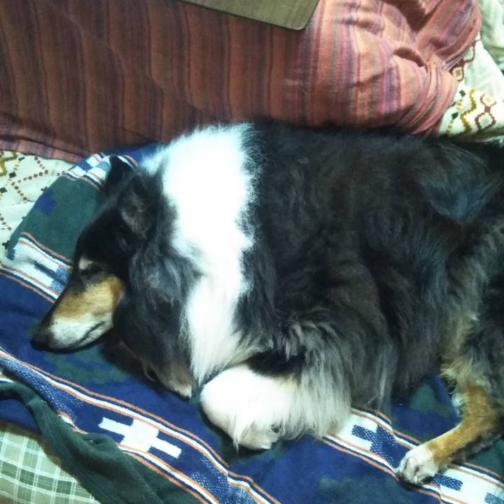 B2f0258c bc9f 48f3 a1da 05acd7f19d21 1606746962045