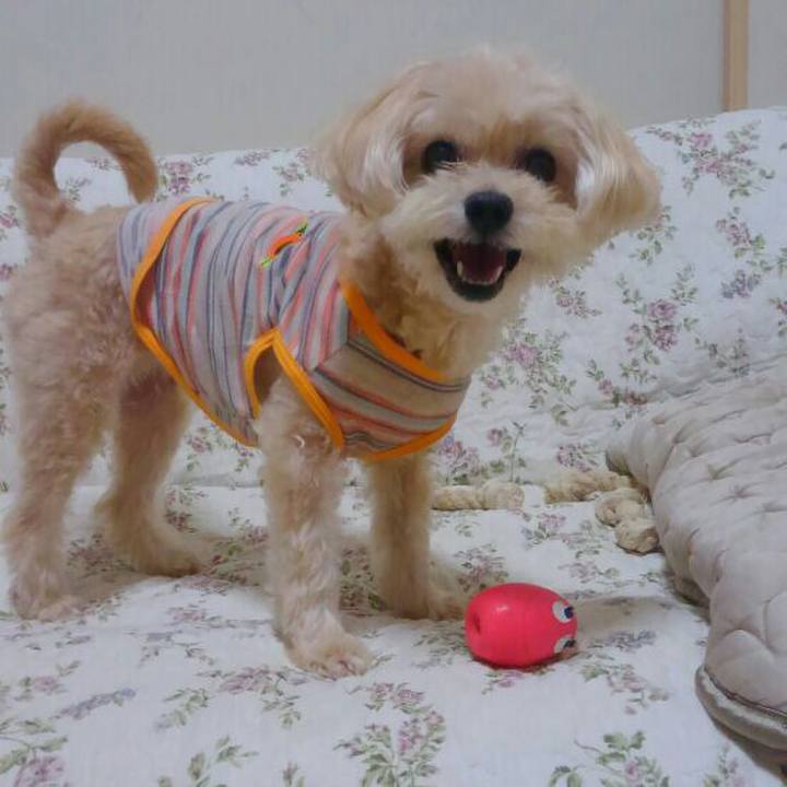 B2f033a4 fae1 4e3b 8c16 6698b512d2da 1530708876299