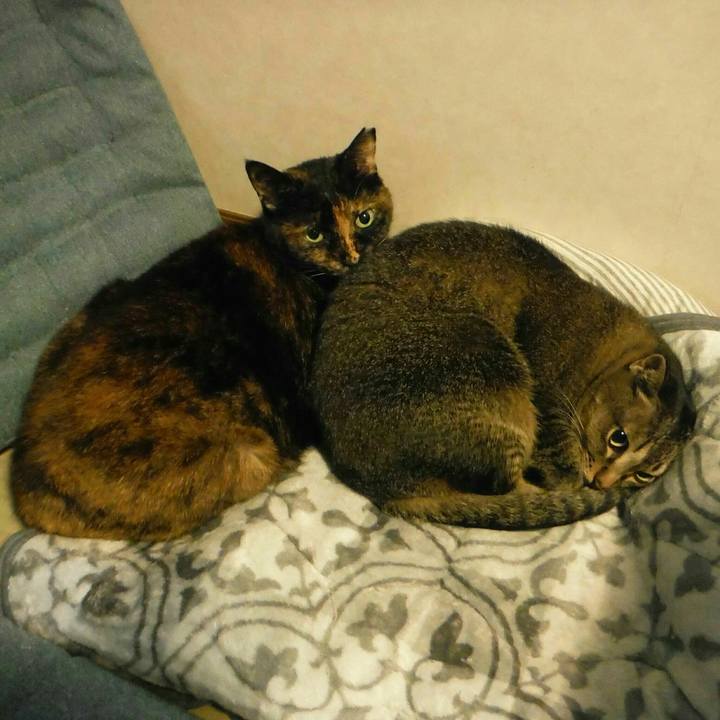 B2f04ee3 ab7c 4c7c 9a1c 714633b167cd 1536886705731