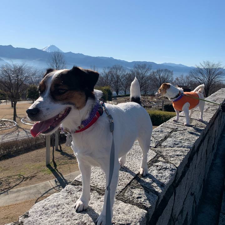 B2f06440 3472 4443 aae0 652d2d0d4ab9 1577953196261