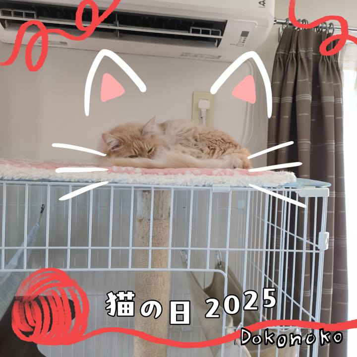 B2f065f3 f149 41cd 9e01 d78a7b681bd2 1740196682200