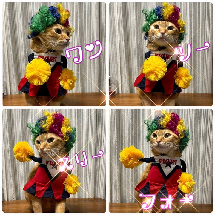 B2f06cd1 755e 49d3 a6fa 78b0730d9428 1643725883319