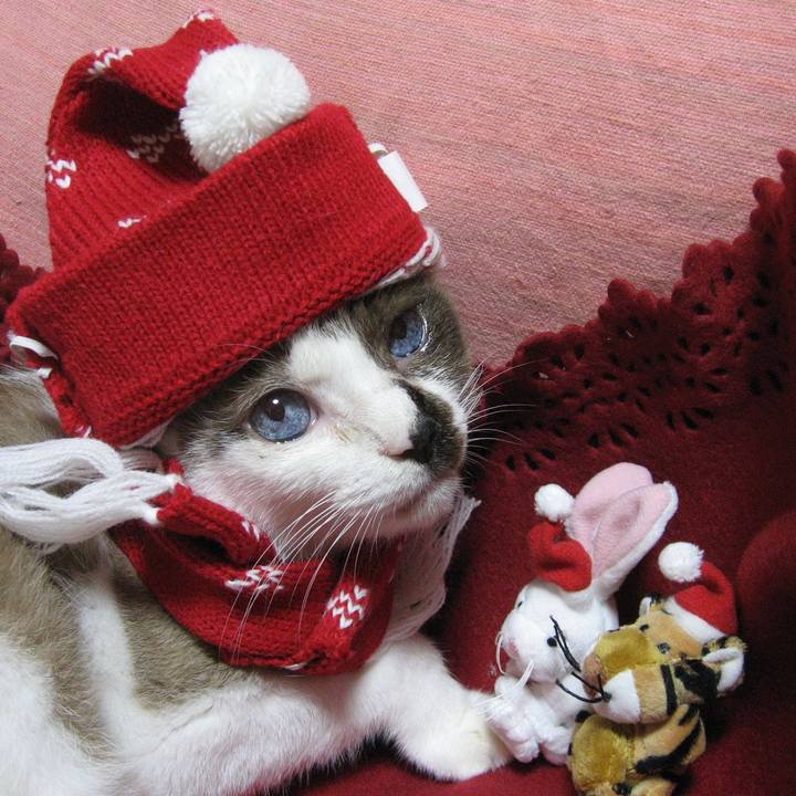 B2f07d27 184c 41c9 9ce0 4c45317aa8c1 1735125989252