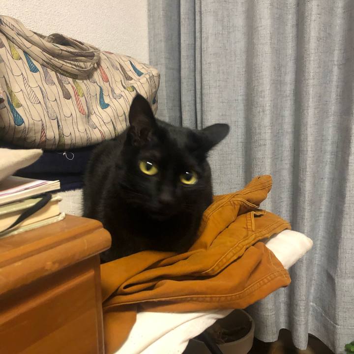 B2f08a7e 1f2c 4cec a4af f648e7edcfd5 1618316688086