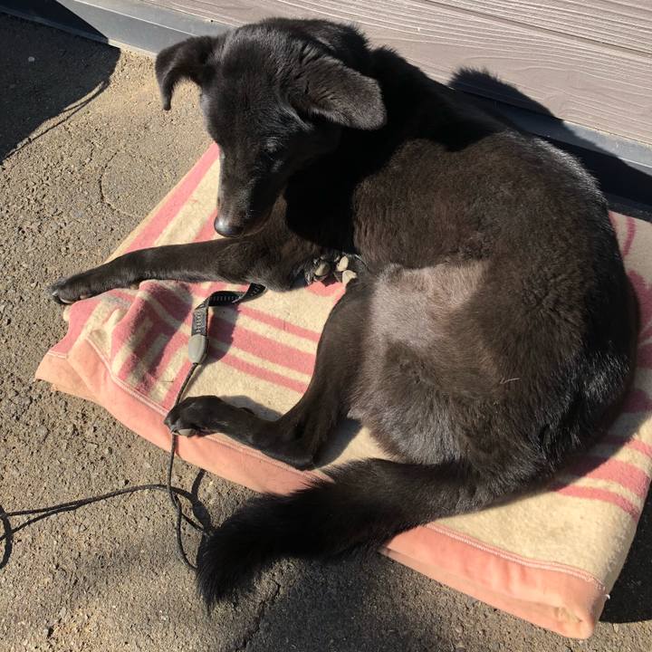 B2f0e06f 51d5 4303 a700 266e9cd75729 1546572342585